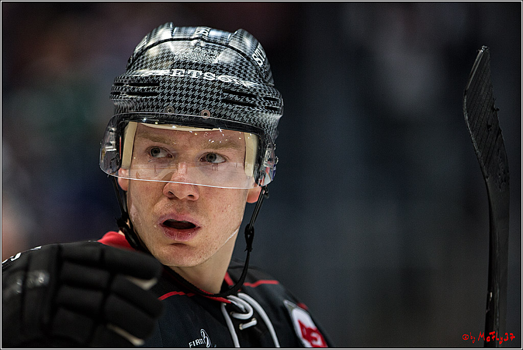 DEL, Koelner Haie - Nuernberg Ice Tiger, 24.01.2017